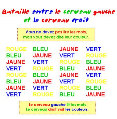 la batille des cerveaux